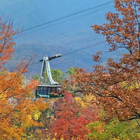 Cajun Hideaway Holiday Home Gatlinburg Zewnętrze zdjęcie